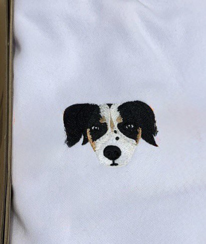 Felpa Cuccioli